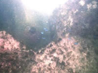 EË`_8img